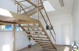 Hala 550 mp cu: centrala termica, sape elicopterizate si usi automatizate.