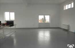 350 mp in imobil constructie noua, Someseni