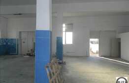 Hala 428 mp, acces tir, 20 locuri de parcare, curent trifazic, zona Traian Vuia
