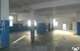 Hala 428 mp, acces tir, 20 locuri de parcare, curent trifazic, zona Traian Vuia