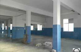 Hala 428 mp, acces tir, 20 locuri de parcare, curent trifazic, zona Traian Vuia