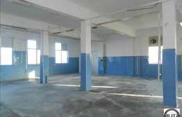 Hala 428 mp, acces tir, 20 locuri de parcare, curent trifazic, zona Traian Vuia