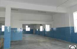 Hala 428 mp, acces tir, 20 locuri de parcare, curent trifazic, zona Traian Vuia