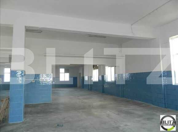 Spațiu industrial de închiriat Someseni - 22418SII | BLITZ Cluj-Napoca | Poza2