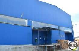 De inchiriat hala constructie noua cu 979 mp plus 110 mp spatii birouri