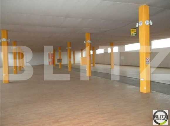 Spațiu industrial de închiriat Someseni - 22427SII | BLITZ Cluj-Napoca | Poza2