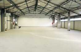 Hala 590 mp cu acces la rampa 