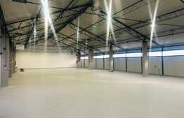 Hala 590 mp cu acces la rampa 