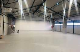 Hala 590 mp cu acces la rampa 