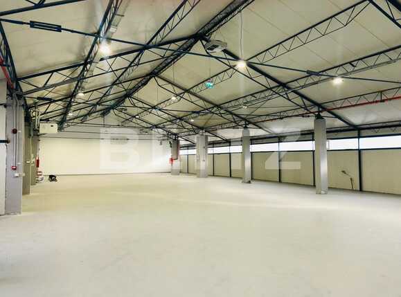 Spațiu industrial de închiriat Someseni - 22429SII | BLITZ Cluj-Napoca | Poza6