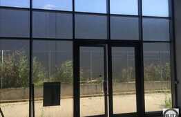 Hala industriala 500 mp, open-space, zona Someseni!