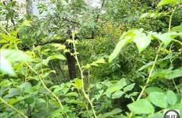 Vanzare teren 421 mp in zona linistita!