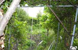 Vanzare teren 421 mp in zona linistita!