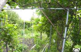 Vanzare teren 421 mp in zona linistita!