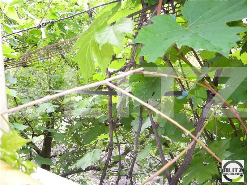 Teren de vânzare Andrei Mureşanu - 22450TV | BLITZ Cluj-Napoca | Poza4