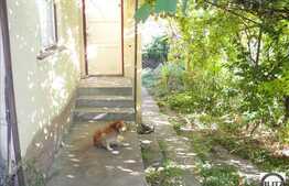 Teren de vanzare 460 mp + constructie demolabila 84 mp