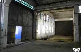 18139 mp in zona Apahida la 7 km de Cluj-Napoca!