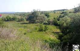 Teren 4000 mp, VALEA SEACA, pretabil casa sau cabana. Teren parcelabil.