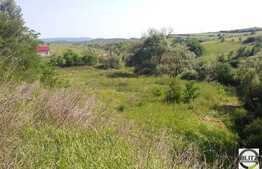 Teren 4000 mp, VALEA SEACA, pretabil casa sau cabana. Teren parcelabil.