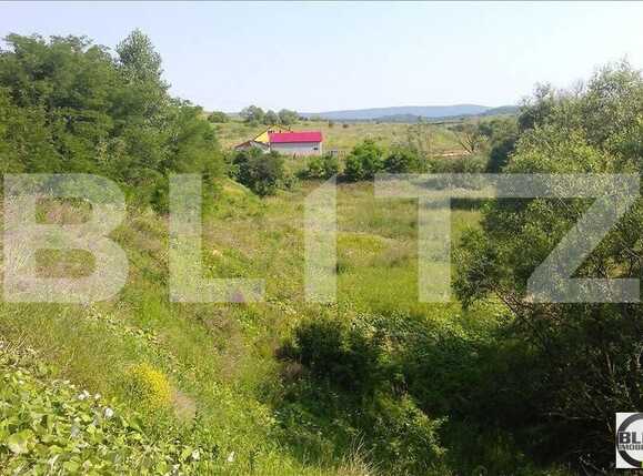 Teren de vânzare Baciu - 22464TV | BLITZ Cluj-Napoca | Poza1