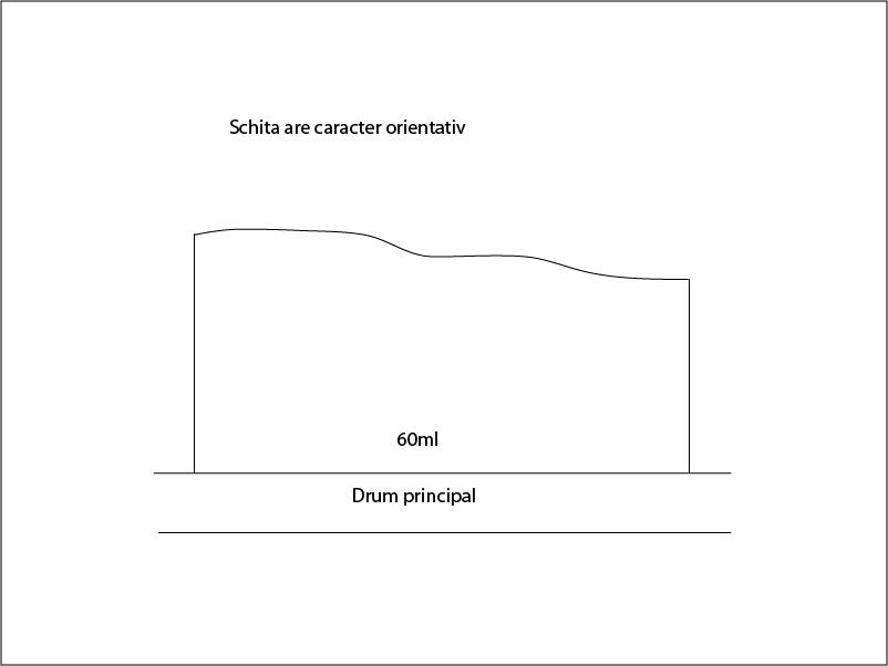 Teren de vânzare Baciu - 22464TV | BLITZ Cluj-Napoca | Poza1