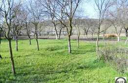 Casa demolabila 1200 mp in Baciu