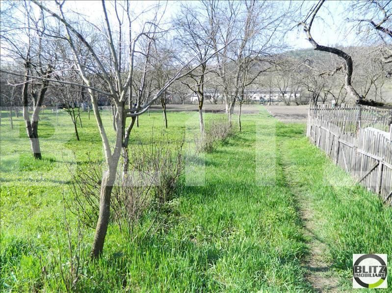 Teren de vânzare Baciu - 22465TV | BLITZ Cluj-Napoca | Poza2