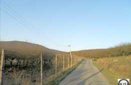 Teren de vanzare 1800 mp, cu front de 37 ml, apa si curent la front