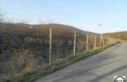 Teren de vanzare 1800 mp, cu front de 37 ml, apa si curent la front