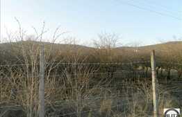 Teren de vanzare 1800 mp, cu front de 37 ml, apa si curent la front