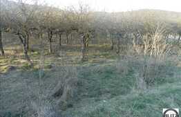 Teren de vanzare 1800 mp, cu front de 37 ml, apa si curent la front