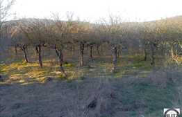 Teren de vanzare 1800 mp, cu front de 37 ml, apa si curent la front