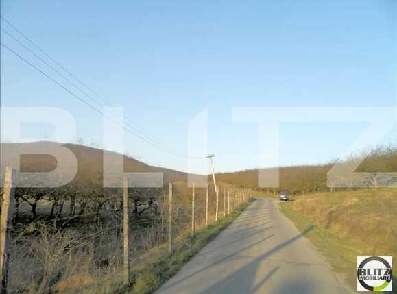 Teren de vânzare Baciu - 22467TV | BLITZ Cluj-Napoca | Poza1