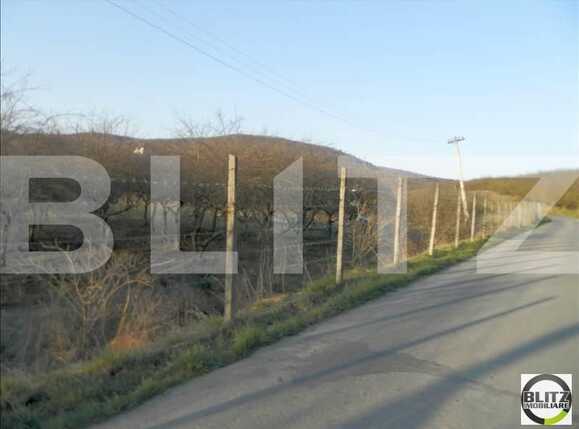 Teren de vânzare Baciu - 22467TV | BLITZ Cluj-Napoca | Poza2