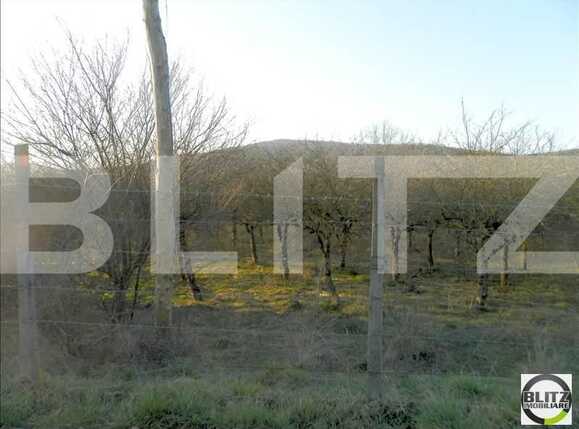 Teren de vânzare Baciu - 22467TV | BLITZ Cluj-Napoca | Poza5