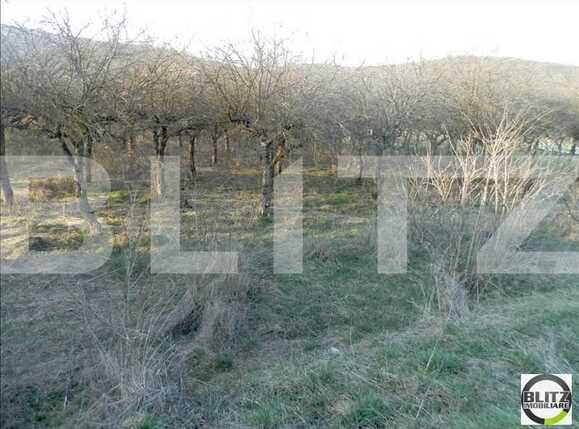 Teren de vânzare Baciu - 22467TV | BLITZ Cluj-Napoca | Poza3