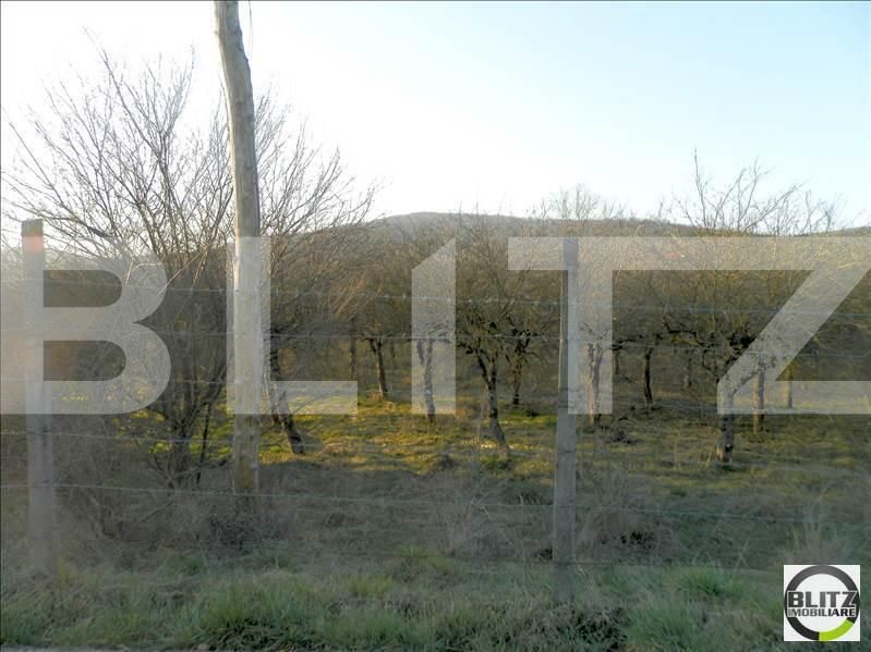 Teren de vânzare Baciu - 22467TV | BLITZ Cluj-Napoca | Poza5