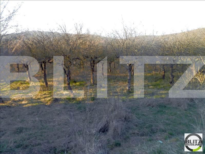 Teren de vânzare Baciu - 22467TV | BLITZ Cluj-Napoca | Poza4