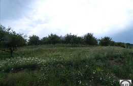 Vanzare teren 5600 mp, front 84 ml, in zona Baciu