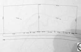 Vanzare teren 5600 mp, front 84 ml, in zona Baciu