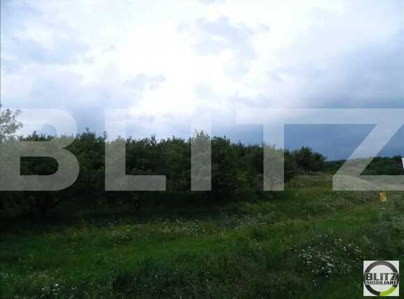Teren de vânzare Baciu - 22469TV | BLITZ Cluj-Napoca | Poza2