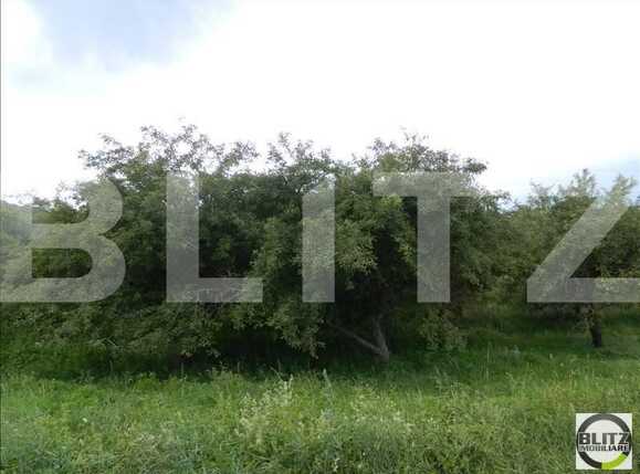 Teren de vânzare Baciu - 22469TV | BLITZ Cluj-Napoca | Poza1