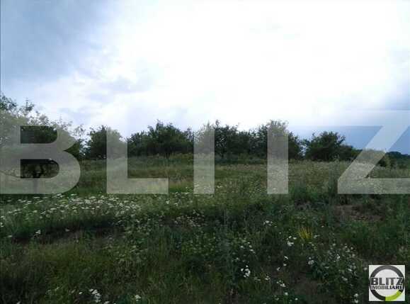 Teren de vânzare Baciu - 22469TV | BLITZ Cluj-Napoca | Poza3