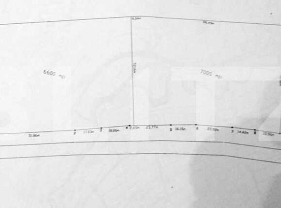 Teren de vânzare Baciu - 22469TV | BLITZ Cluj-Napoca | Poza4