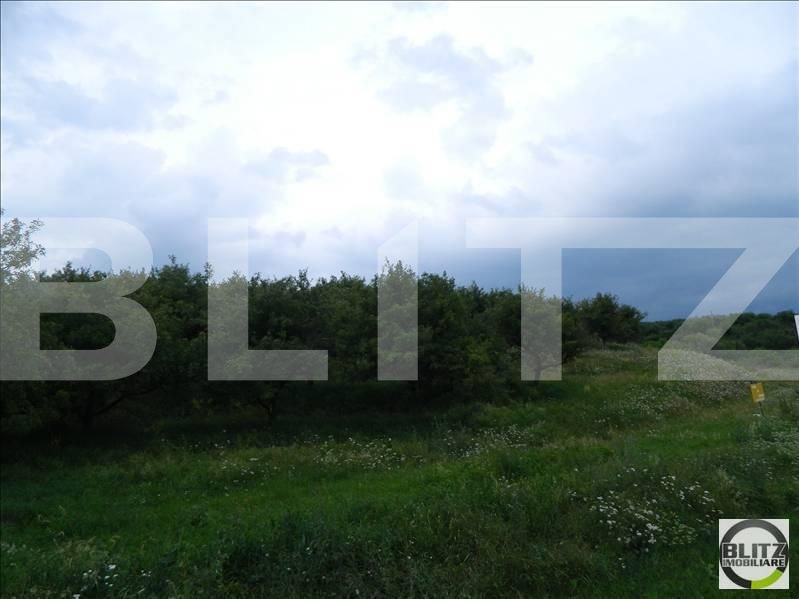 Teren de vânzare Baciu - 22469TV | BLITZ Cluj-Napoca | Poza2