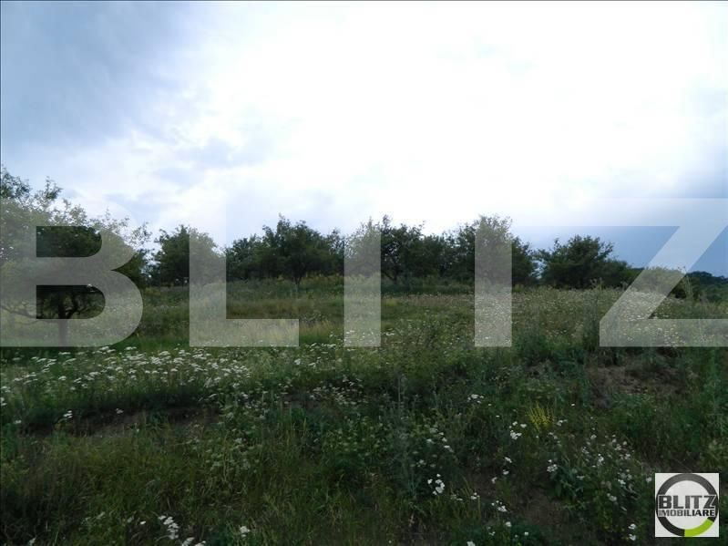 Teren de vânzare Baciu - 22469TV | BLITZ Cluj-Napoca | Poza3