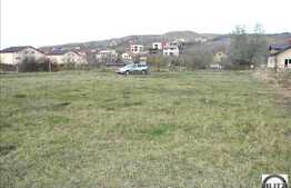 Teren de vanzare, 6300 mp, perfect plan, ideal complex de case