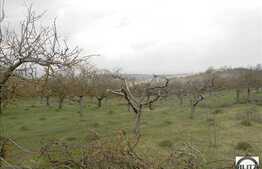 Teren 749 mp pretabil casa individuala, zona Borhanci