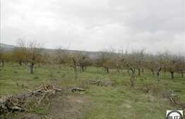 Teren 749 mp pretabil casa individuala, zona Borhanci