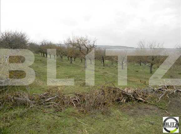 Teren de vânzare Borhanci - 22489TV | BLITZ Cluj-Napoca | Poza1